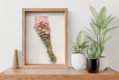 a wooden frame with flowers in it next to two potted plants on a shelf