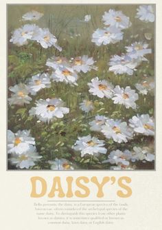 daisy's are the most beautiful flowers in the world