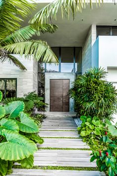 an entrance to a modern home surrounded by greenery