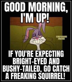 an image of a cartoon rabbit saying good morning, i'm up if you're expecting bright - eyed and bushy - tailed, go catch a freaking squirrel