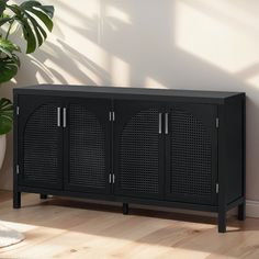 a black cabinet sitting on top of a wooden floor next to a potted plant