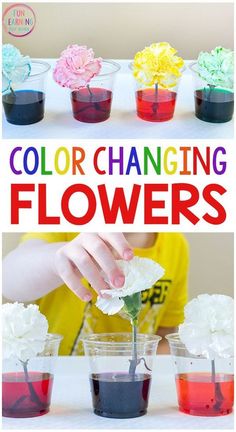 colorful flowers are being used to make flower vases with colored water and tissue paper