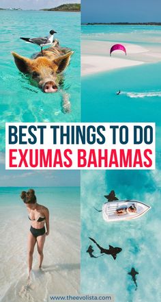 the best things to do in exumas baamas, with text overlay