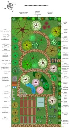 a garden plan with lots of different plants and trees in it, including the top view of