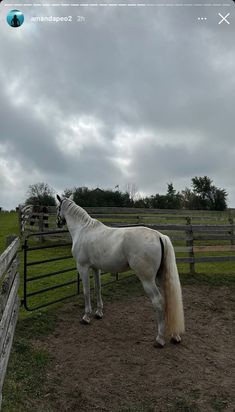 a white horse standing next to a wooden fence