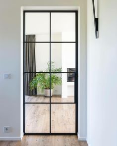 an open glass door leading to a living room with a potted plant on the wall