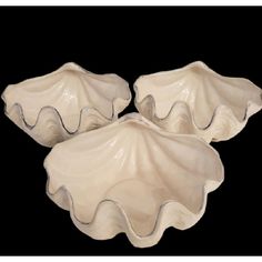 three white scallop shaped dishes on a black background