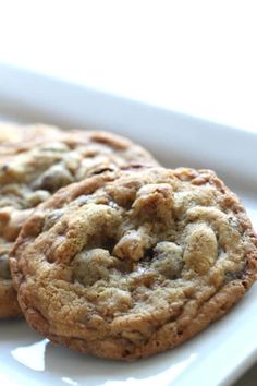 two chocolate chip cookies on a white plate