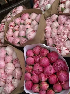 several bundles of pink flowers sitting on top of each other