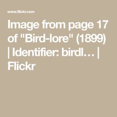 an image from page 17 of bird - loe 1989 identifier bird flickr