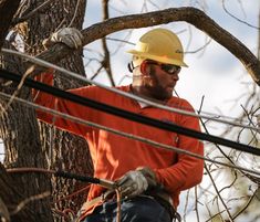 a man in an orange shirt and yellow hard hat is working on a tree branch