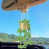 the interior of a car with green plants hanging from it's dash board, and mountains in the background