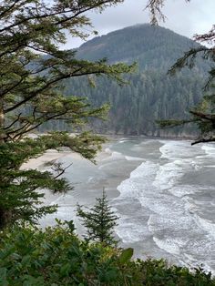 an ocean view with trees and mountains in the background