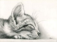 a cross stitch picture of a kitten sleeping on the floor with its eyes closed and it's head down