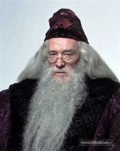 an older man with long white hair and beard wearing a purple hat is looking at the camera