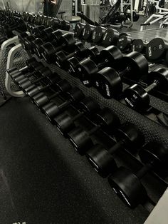 rows of black dumbs in a gym