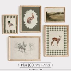 six framed pictures with animals and birds on them in different styles, sizes and colors