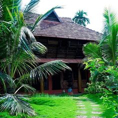 the house is surrounded by palm trees and lush green grass, with a stone pathway leading to it