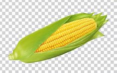 a corn on the cob is shown in this image, it's transparent