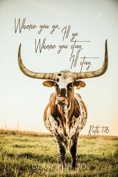 a long horn steer standing in a field with the words, when you go all day, where you stay all day