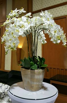 there is a potted plant with white flowers in it