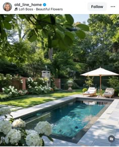 the pool is surrounded by white flowers and an umbrella in the middle of the yard