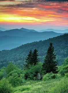 the sun is setting over mountains and trees in the foreground, with green grass on the ground