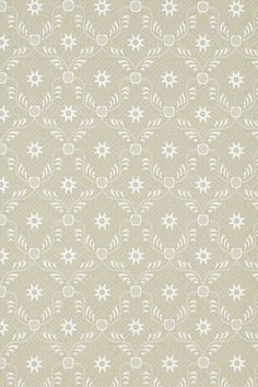 a beige background with white flowers and circles