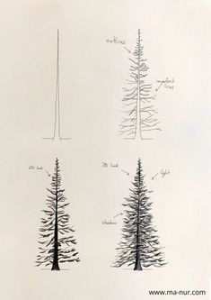 three different types of trees are shown in this drawing