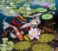 two koi fish are swimming in the pond with lily pads and water lilies