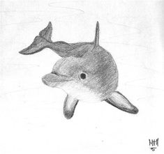 a pencil drawing of a dolphin swimming in the water with it's mouth open