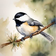 a watercolor painting of a bird perched on a branch