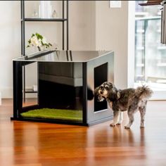 a small dog standing in front of a black and silver pet house on the floor