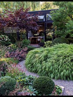 a garden with lots of plants and trees