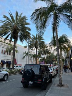 cars parked on the side of the road near palm trees