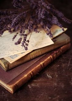 an old book with some flowers on top of it