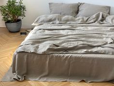 an unmade bed sitting on top of a wooden floor next to a potted plant