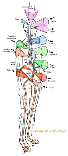 Imagem Chakra Chart, Pranic Healing, Endocannabinoid System, Energy Healing Reiki, Spirit Science, Chakra Yoga, Les Chakras