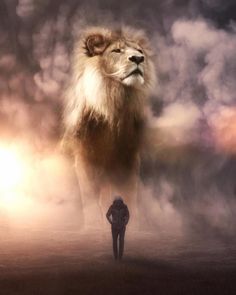 Giant Animals, Lion Photography, Lion Love, Lion Wallpaper, Lion Images, Surreal Photos, Prophetic Art, Lion Pictures, Lion Art