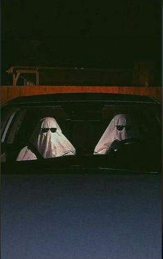 two large white dogs sitting in the back of a car