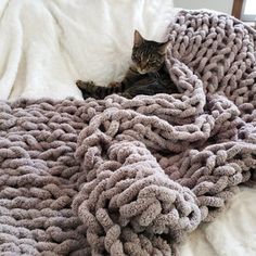 a cat laying on top of a pile of blankets