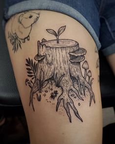 a tree stump with a plant growing out of it