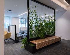 an office cubicle with plants growing on the wall and wooden bench in front of it