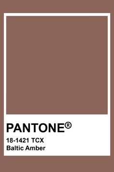 Light Brown Pantone, Brown Pantone Palette, Bronze Pantone, Brown Pantone Shades, Pantone Colors Brown, Pantone Swatches Brown, Dubai Birthday