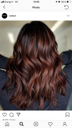 Medium Dark Auburn Hair, Chocolate Brown Hair With Auburn Highlights, Mocha Red Brown Hair, Cinnamon Balayage On Black Hair, Brown Hair With Auburn Lowlights, Brown Redish Hair Color With Highlights, Dark Auburn Balayage Brunettes, Dimensional Red Brown Hair