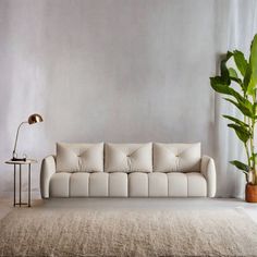 a white couch sitting next to a plant in a living room on top of a rug