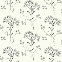 Wildflower Wallpaper Wall Siding, Wildflower Wallpaper, Scrapbooking Backgrounds, Stripped Wallpaper, Ii Wallpaper, A Street Prints, Background Designs, York Wallpaper, Wallpaper White