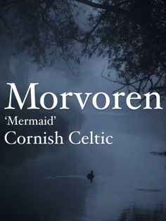 the cover of morrvoren mermaid's scottish celtic novel, which is written in