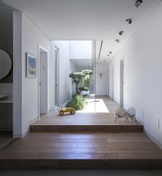 an empty hallway with wooden steps and plants