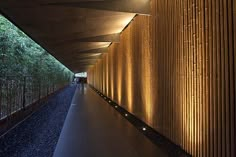 the walkway is lined with bamboo and has lights on each side that illuminate it